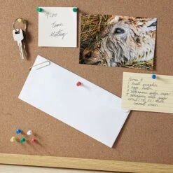 Staples Push Pins, Assorted Colors, 100/Pack (10563-CC) -Fiskar Shop s1225567 s7